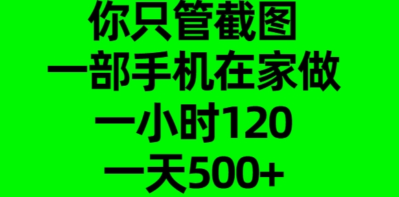 你只管截图,一部手机在家做,一小时120,一天500+