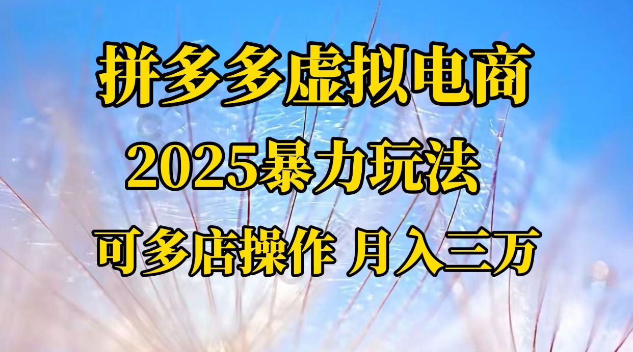 拼多多虚拟电商，不囤货不垫资的虚拟电商