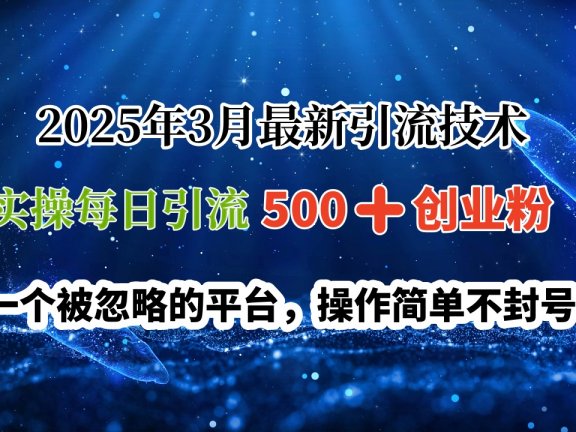 2025年3月最新引流技术,实操每日引流500➕创业粉,一个被忽略的平台,操作简单不封号