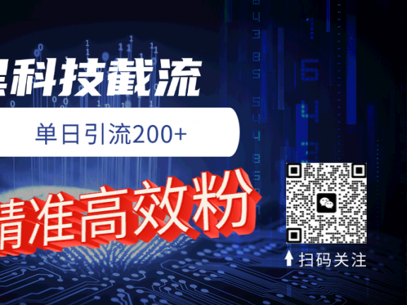 黑科技玩法 精准高效 日引200+